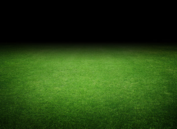 足球场的草坪