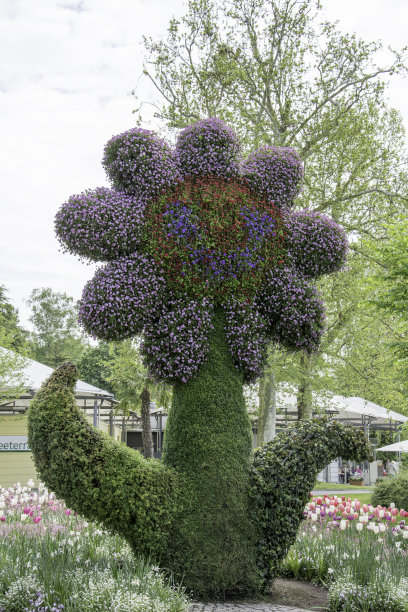 孔雀造型花坛