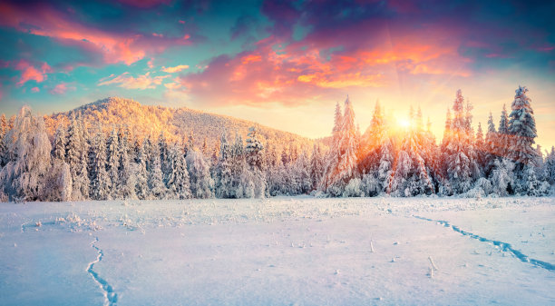 自然雪景