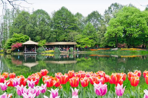 公园,杭州花圃