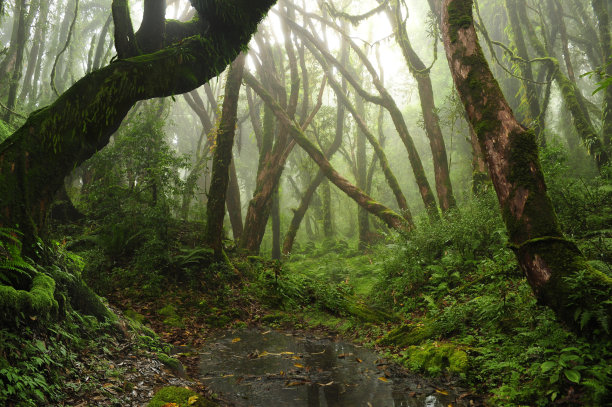 禅意山峰云雾环保低碳