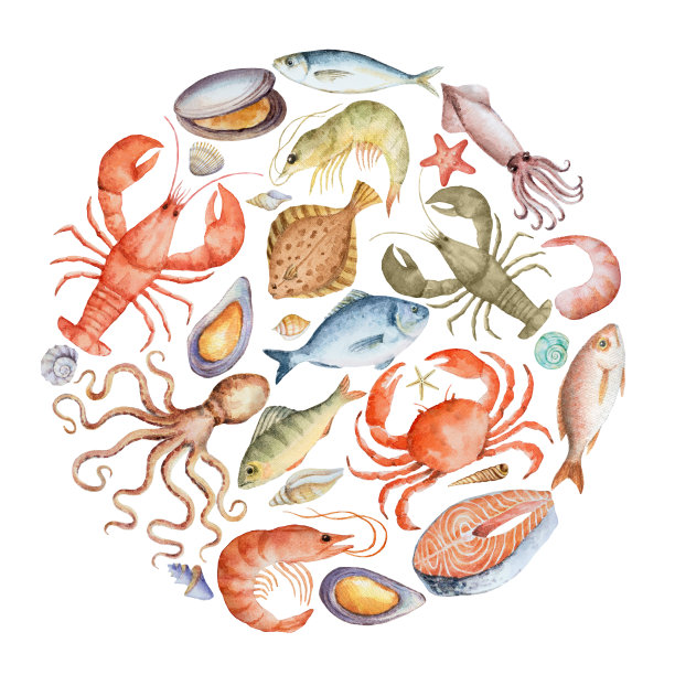 螃蟹水粉插画