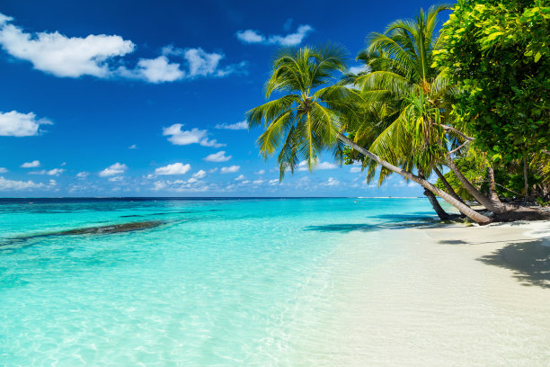 马尔代夫海滩风景