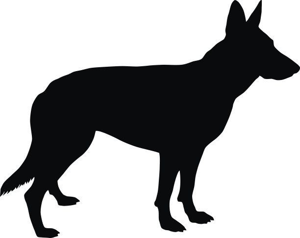 宠物狗,德国牧羊犬,狼犬