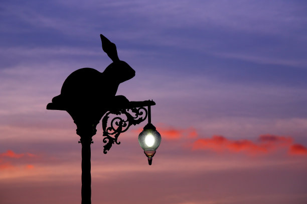 夜灯兔兔