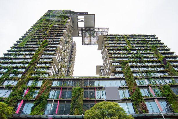 悉尼城市绿化
