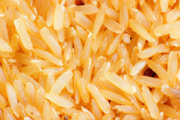 发芽糙米