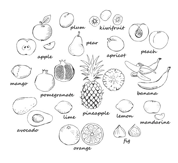 菠萝水果插画
