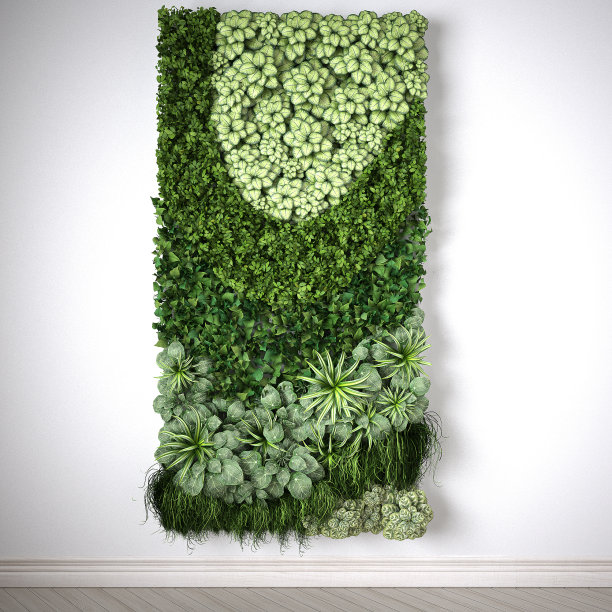 植物墙垂直绿化