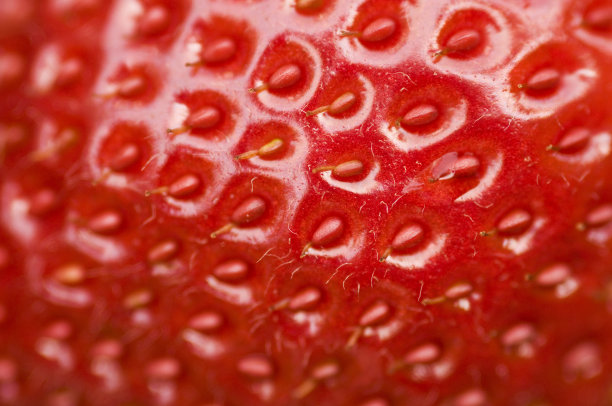 草莓,浆果,熟的