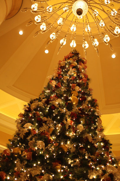 酒店大堂里的圣诞树