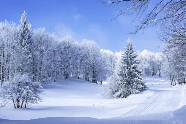 下雪后的操场