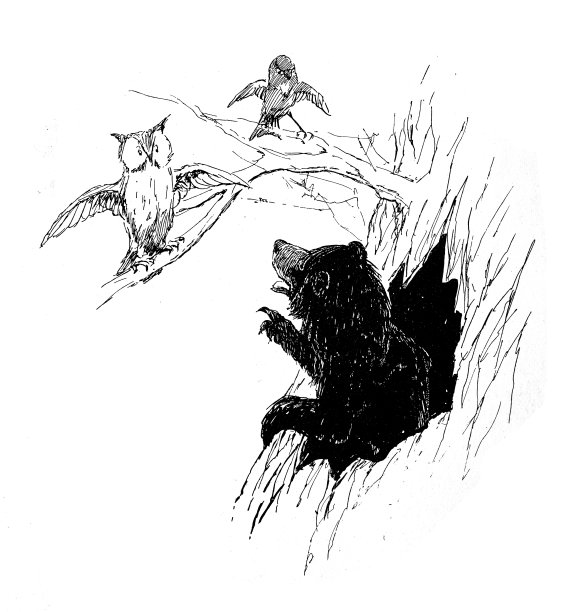 黑白手绘图 猫头鹰