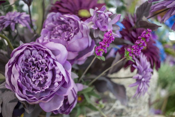 紫牡丹花