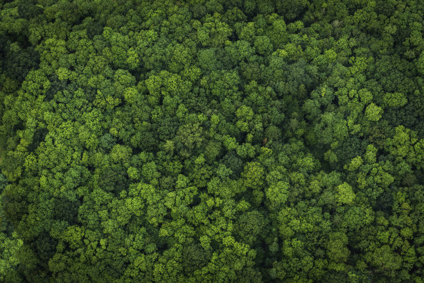 航拍绿色生态森林