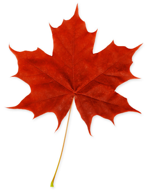 加拿大秋天