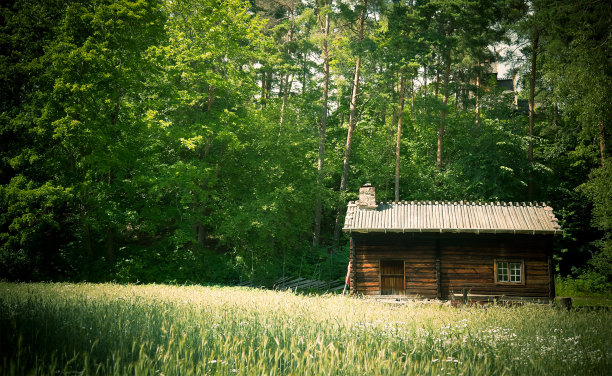 林中小木屋