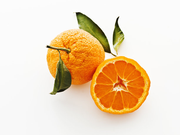 柑橘白底