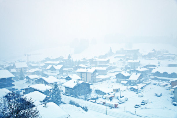 下雪的冬天雪松和房子