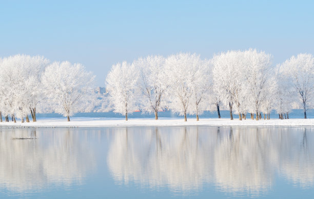 冬天雪景