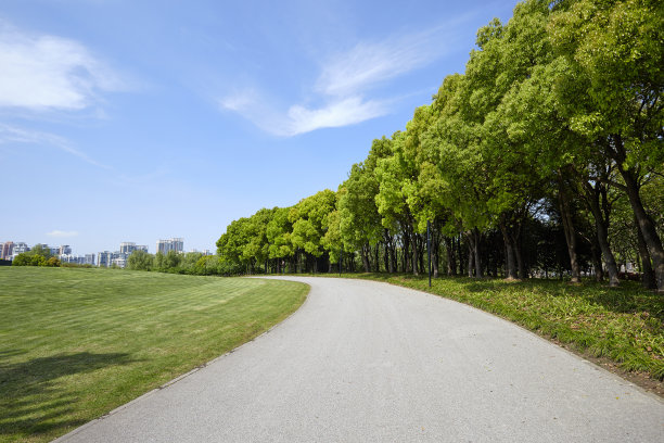 蜿蜒的道路