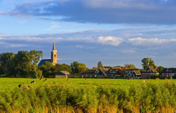 荷兰乡村