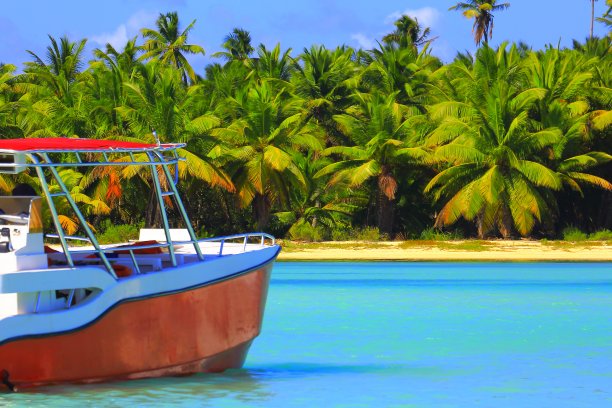 椰树 椰子 帆船