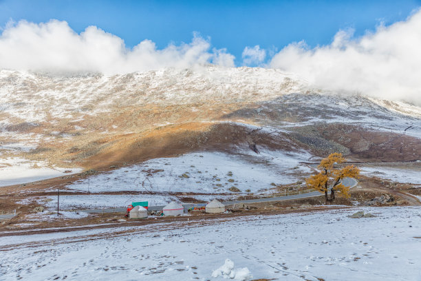 新疆的树木高山风景