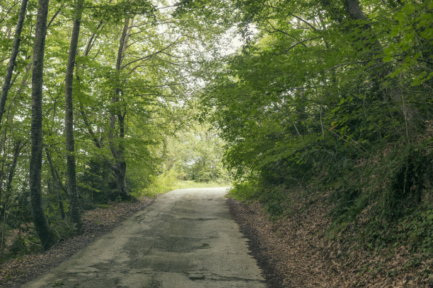 山路崎岖