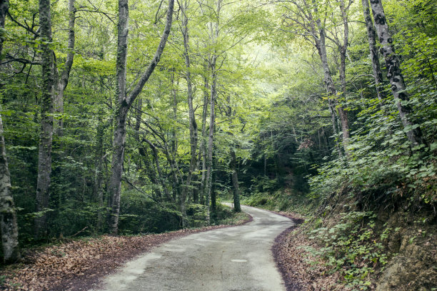 山路崎岖