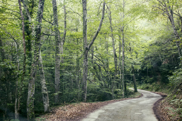 山路崎岖