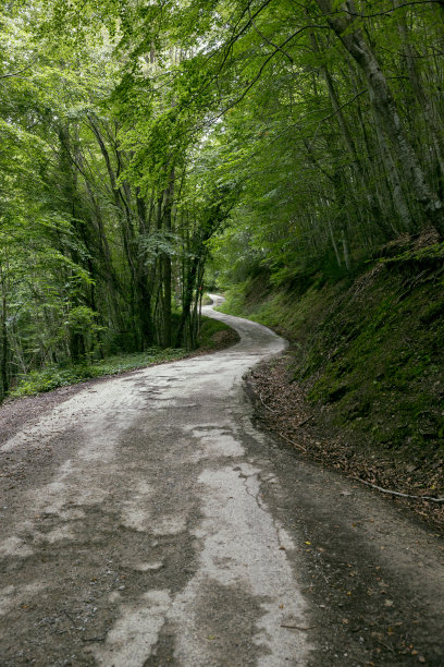 崎岖山路