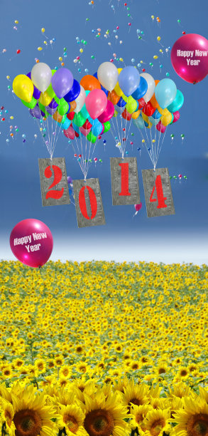 2013-新年快乐