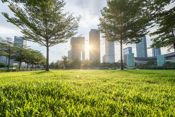 深圳广场和城市风光