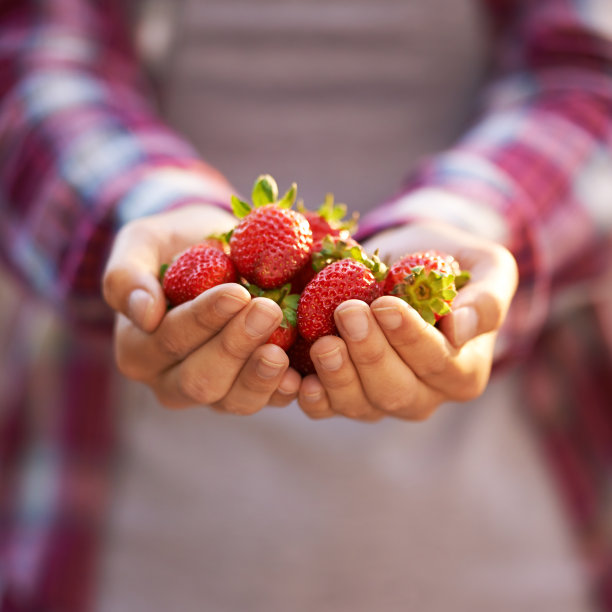 草莓水果高清图片
