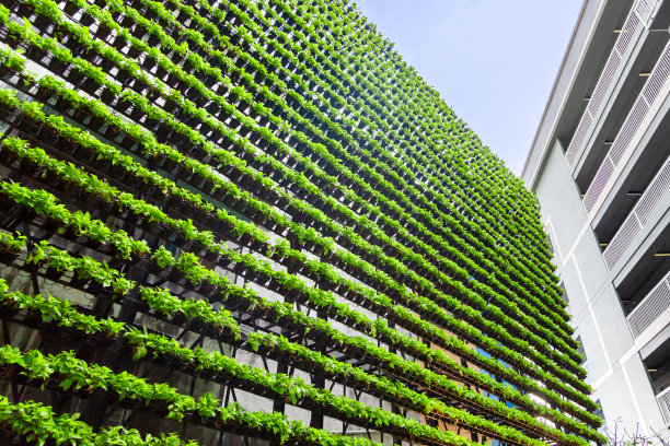 垂直绿化绿墙