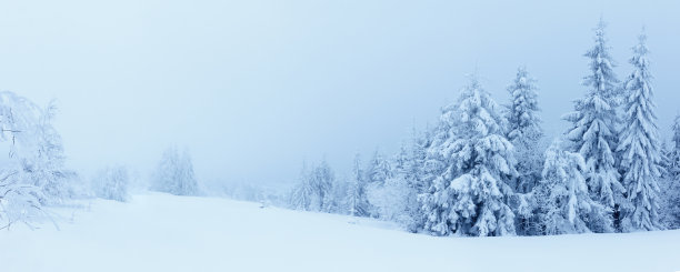 雪景动态壁纸