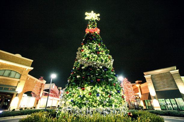 圣诞树,商场