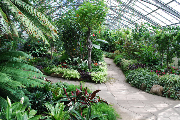 温室花园设计