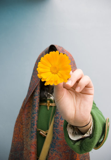 羞女菊