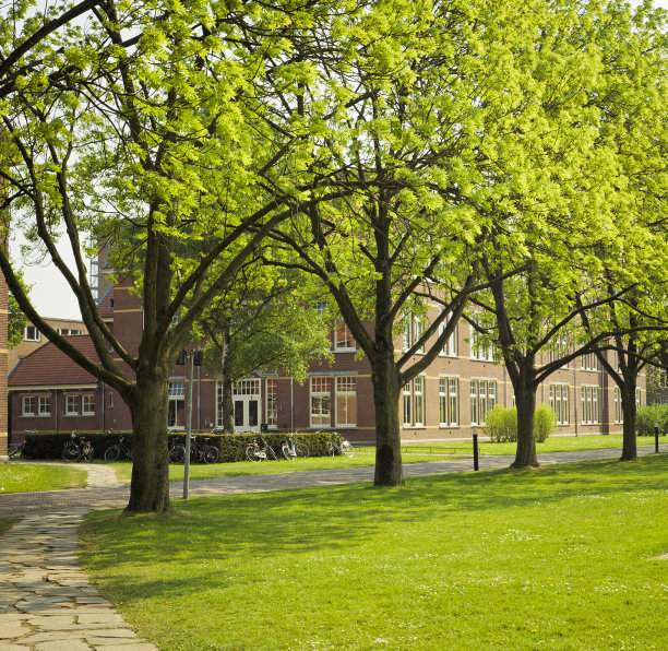 学校大学宿舍文化