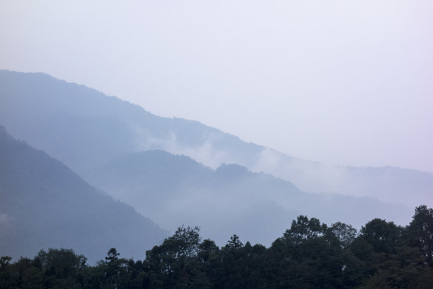 峨眉山的山峰与云海