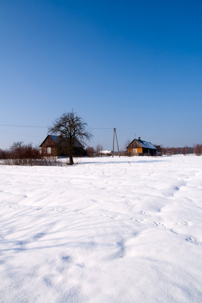 梨花落雪