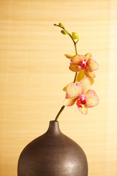日式风格花瓶