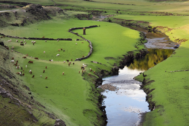 草原河流羊群