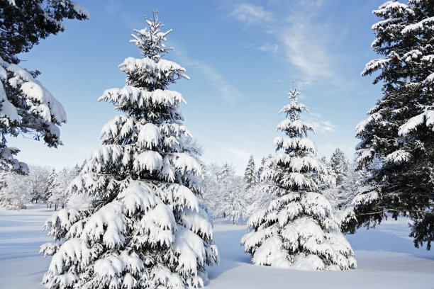 雪山高尔夫