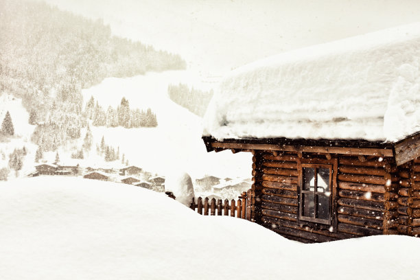 森林大雪木屋树林风景