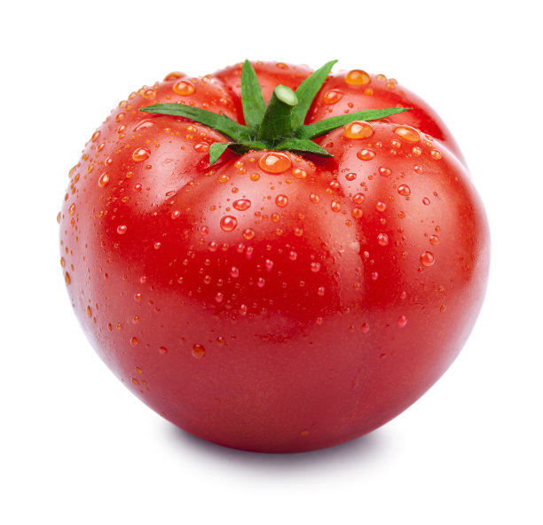 西红柿果实新鲜西红柿