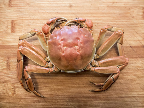 大闸蟹美食文化