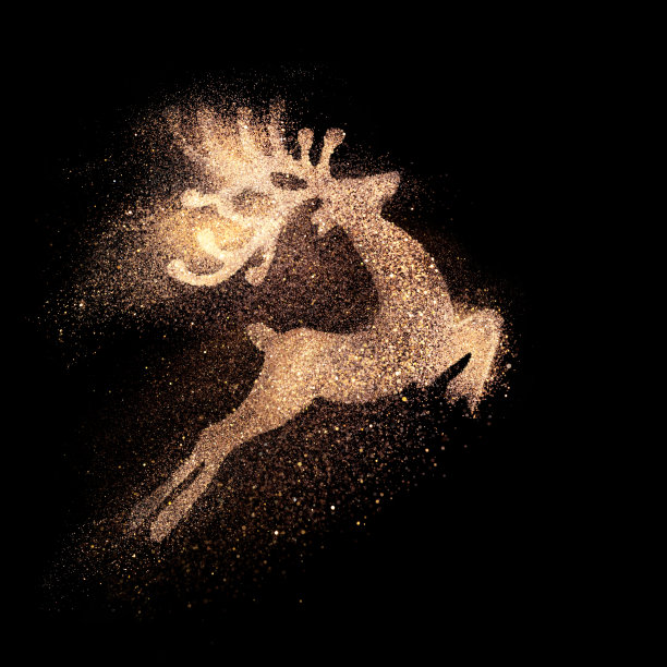 鹿与繁星
